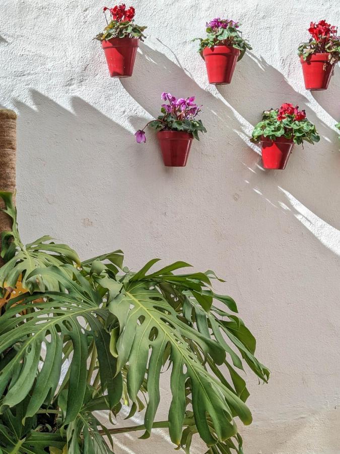 Harbor Getaway In The Heart Of Puerto Banus With Walking Dictance To Everything Appartamento Marbella